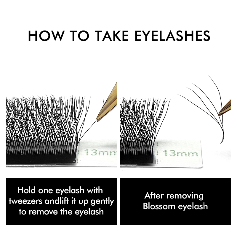 Extensiones de pestañas NATUHA - Eyelash Extension Fan reseña y precio