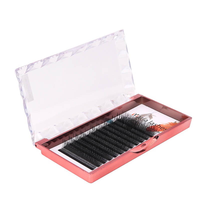 MARIA 10 casos 4D W en forma d - Eyelash Extension Fan reseña y precio