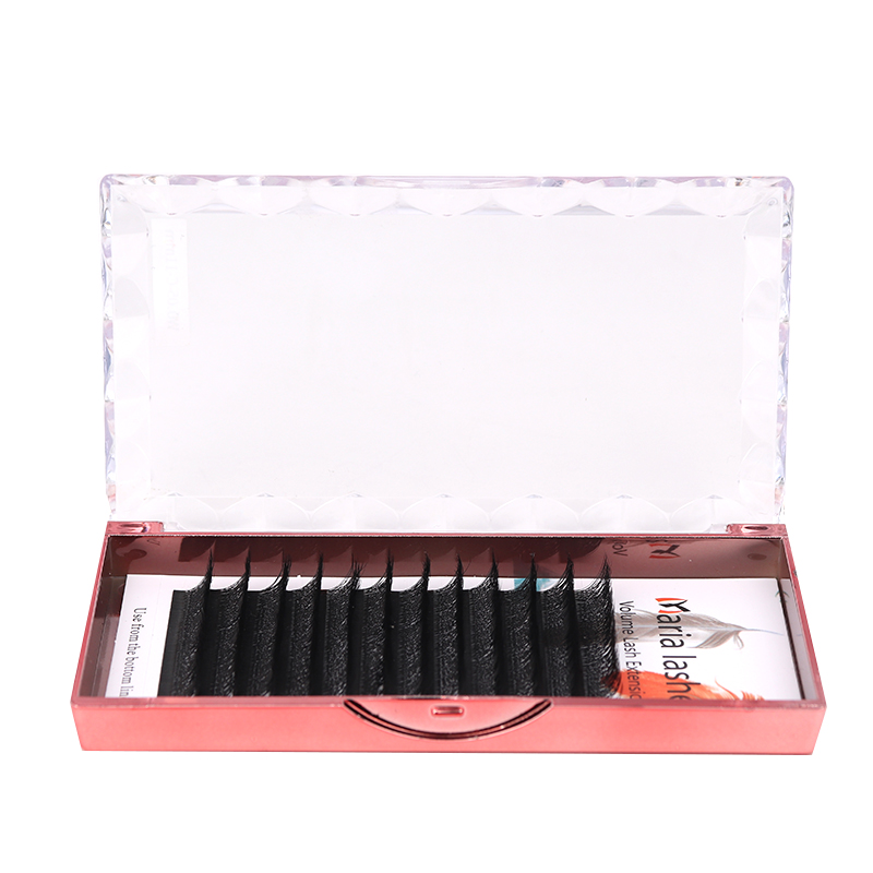 MARIA 10 casos 4D W en forma d - Eyelash Extension Fan reseña y precio